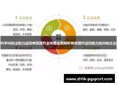 科学训练法助力运动表现提升全攻略全面解析有效提升运动能力的训练方法